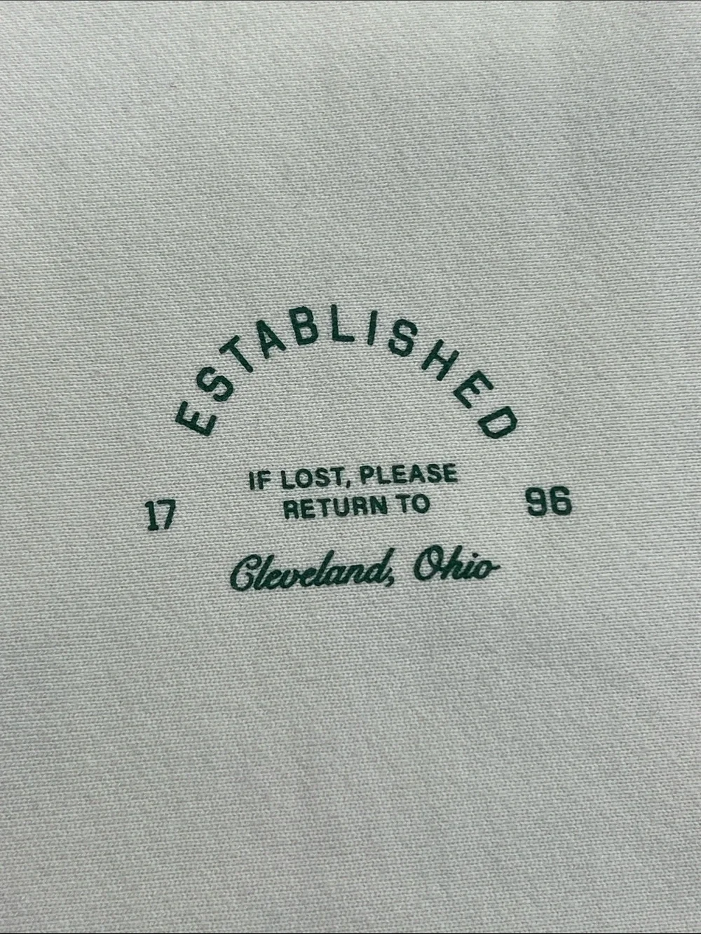 Emily Roggenburk return to cleveland puff crewneck long sleeve sweatshirt green - Picture 3 of 11